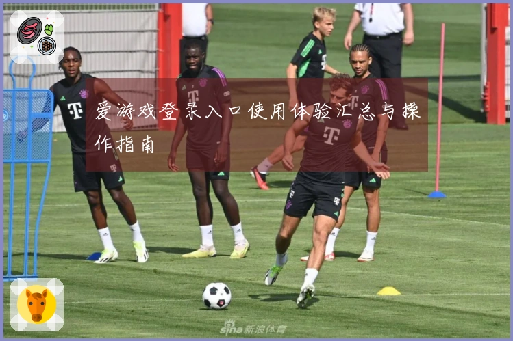 爱游戏登录入口使用体验汇总与操作指南