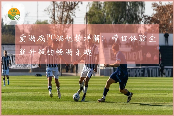 爱游戏PC端优势详解：带你体验全新升级的畅游乐趣